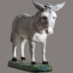 Donkey 0396