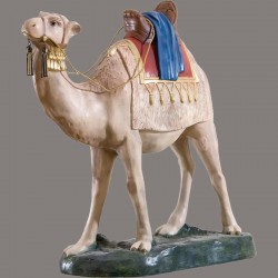 Camel 0393