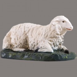 Resting Sheep 9250
