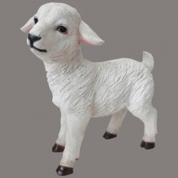 Standing Sheep 12'' - 10711