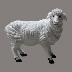 Standing Sheep 27'' - 10998