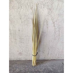Palm leaves pack of 100 - 4524  - 1