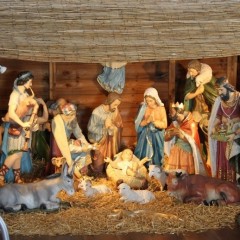 Nativity Sets / Crib Sets